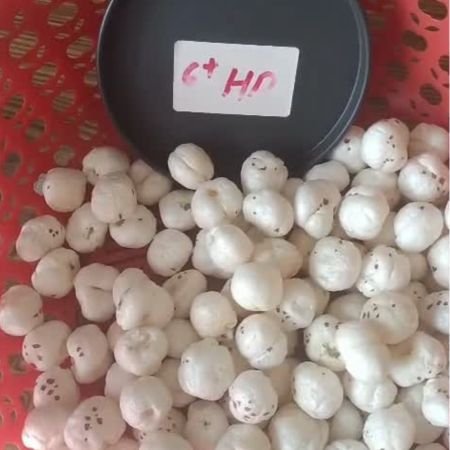 Premium 6 Suta Makhana